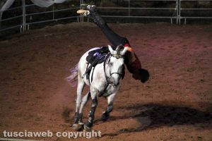 Tuscania - Nitriti nella notte