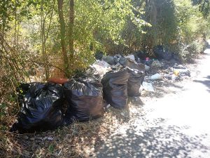 Viterbo - Rifiuti in strada Caselle