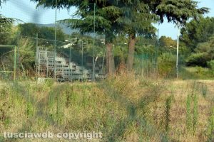 Viterbo - Il campo sportivo comunale all'Ellera nell'abbandono