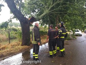 Montefiascone - Albero spezzato sulla Verentana