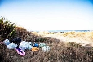Tarquinia - Rifiuti abbandonati alla pineta San Giorgio