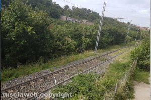 Rami lungo la ferrovia Roma - Civita Castellana - Viterbo