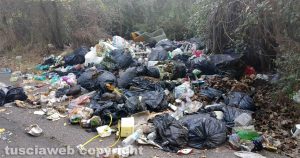Viterbo - Rifiuti abbandonati in strada Caselle