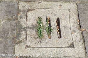 Capodimonte - Incuria tra le vie