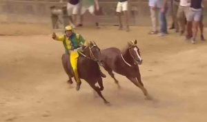 Siena - L'arrivo del Palio dell'Assunta 2019