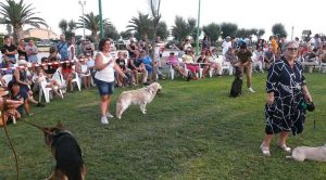 Tarquinia - Esposizione canina a Marina Velca