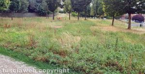 Viterbo - Degrado ai giardini della Grotticella