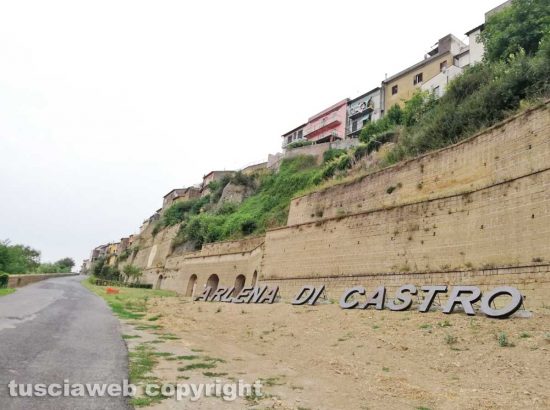 Arlena Di Castro