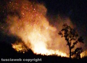 Grotte di Castro – A fuoco tre ettari di sterpaglie