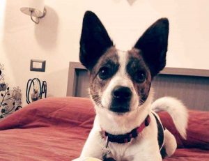 La cagnolina Magò