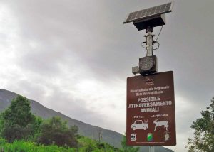 Il cartello d'avviso attraversamento animali