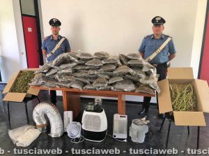 Orte - Carabinieri - Sequestrati 75 chili di droga