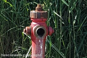 Tarquinia - L'idrante in viale dei Navigatori