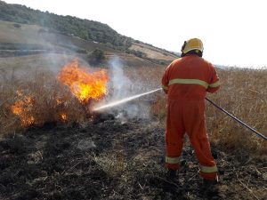 Tarquinia - Incendi alla Civita e sulla Turchina - L'Aeopc in azione