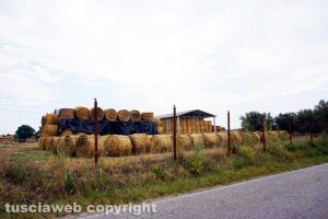 Azienda agricola