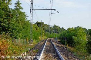 Ferrovia