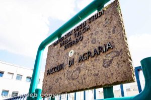 Viterbo - Unitus - Facoltà di agraria