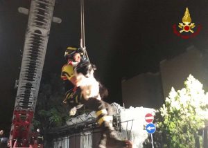 Genova - L'intervento dei vigili del fuoco