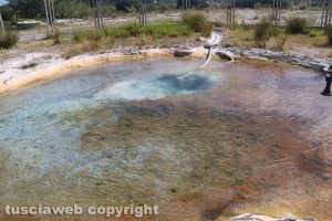 Viterbo - Il Bullicame