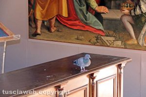 Viterbo - Comune - Il piccione nella sala della Madonna