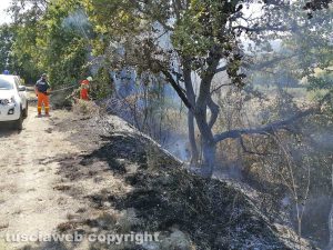San Lorenzo Nuovo – In fiamme un ettaro di bosco e sterpaglie