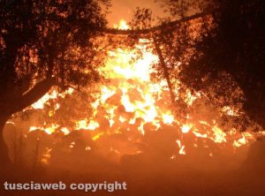 Tuscania - In fiamme mille rotoballe in un capannone