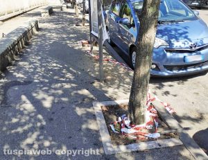 Viterbo - Le fettucce a piazza Crispi