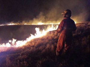 Tarquinia - Vasto incendio nella notte alla Farnesiana