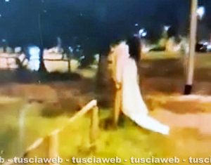 Samara avvistata a Tarquinia