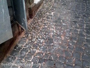 Montefiascone - Via Nino Bixio