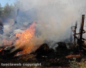 Bolsena - Incendio in un capannone agricolo