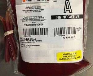Una sacca di sangue