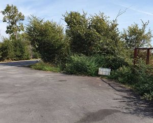 Tarquinia - Rifiuti abbandonati a bordo strada