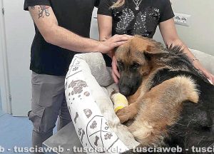 Spes con Rosita Francia e Filippo Canensi dopo essere stata adottata