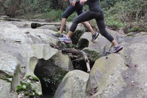 Con "Camminare nel paesaggio" una giornata lungo i sentieri della Faggeta