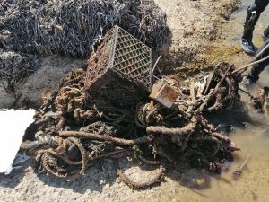 Civitavecchia - La Frasca - Rimossi e sequestrati rifiuti