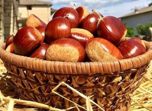 Marroni