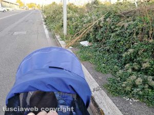 Viterbo - Erbacce sui marciapiedi di via Volta
