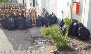 Viterbo - Rifiuti nell'area in via Orio Vergani
