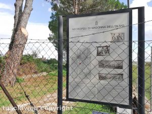Tuscania - La necropoli della Madonna dell'Olivo