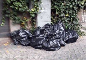 Viterbo - Rifiuti a piazza San Carluccio