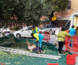 L'uomo a terra caduto mentre raccoglieva le olive