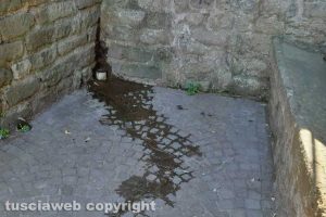 Viterbo - Degrado all'ex lavatoio di via del Ganfione