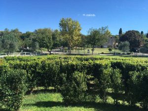 La Cittadella di Semi di pace