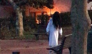 Samara avvistata al Prato Giardino di Montefiascone