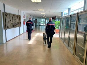 Il servizio antidroga dei carabinieri nelle scuole