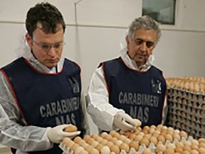Controlli dei carabinieri del Nas sulla filiera delle uova
