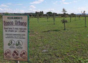 Il bosco urbano di Tarquinia