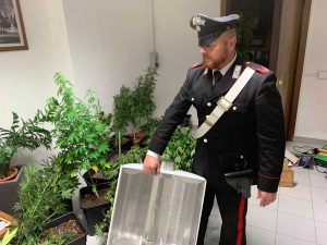 Civitavecchia - Il materiale sequestrato dai carabinieri nell'operazione