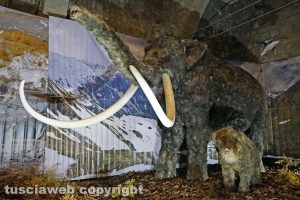 Viterbo - La mostra dedicata all'Era glaciale